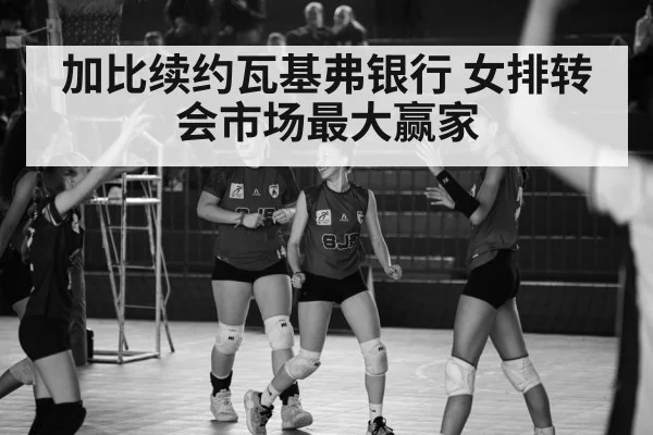 Turkish volleyball league