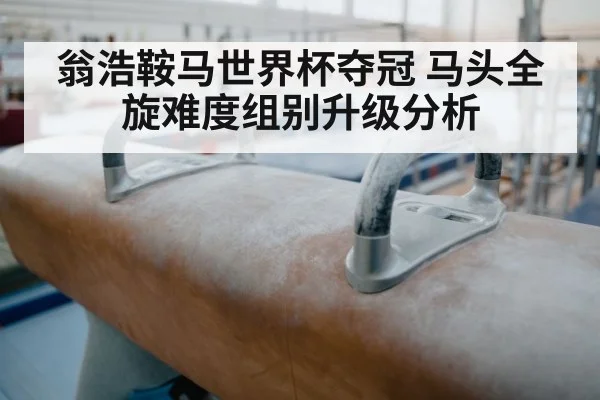 翁浩鞍马世界杯夺冠 马头全旋难度组别升级分析