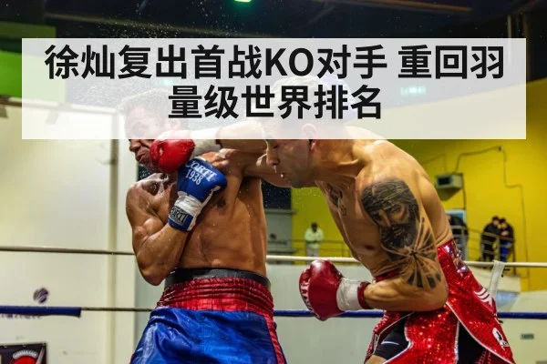徐灿复出首战KO对手 重回羽量级世界排名